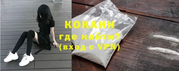 твердый Новодвинск