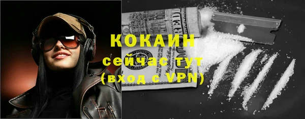 стаф Новозыбков