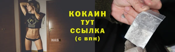 твердый Новодвинск