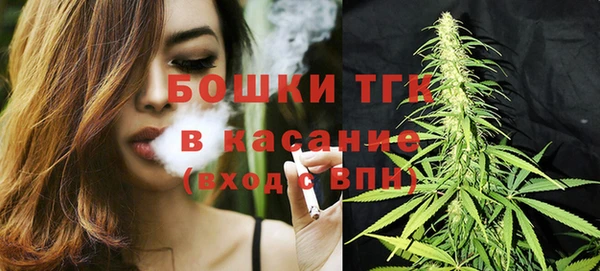 стаф Новозыбков