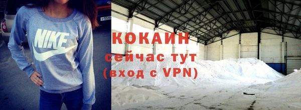 стаф Новозыбков