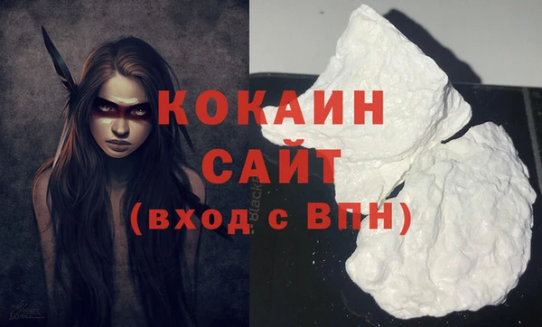 твердый Новодвинск