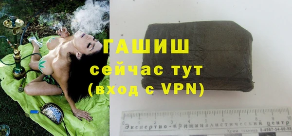 стаф Новозыбков