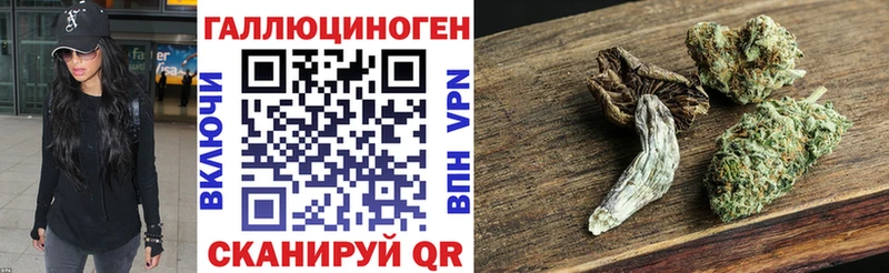 Галлюциногенные грибы Psilocybe  гидра   дарк нет официальный сайт  Кохма 