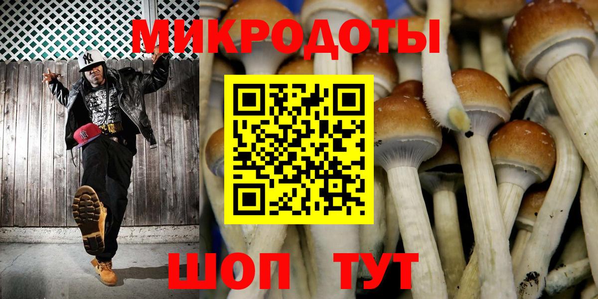 Псилоцибиновые грибы Magic Shrooms  Кохма  Галлюциногенные грибы прущие грибы 