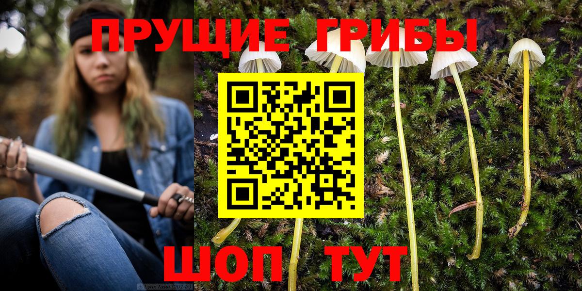 Псилоцибиновые грибы Cubensis Кохма